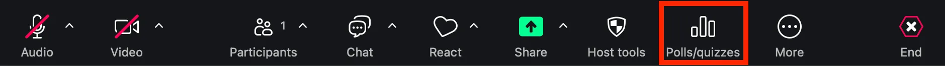 the bottom of the zoom screen